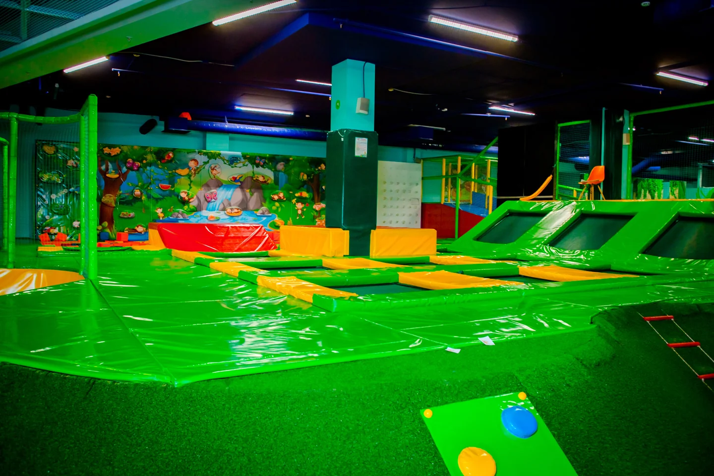 Батутная арена в Monkey Park