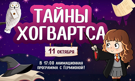 ТАЙНЫ ХОГВАРТСА 