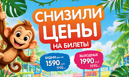 Снижение цен в Monkey Park!